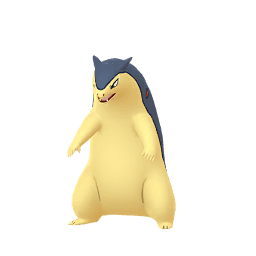 Shadow Typhlosion
