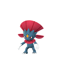 Shadow Weavile