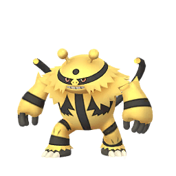 Shadow Electivire