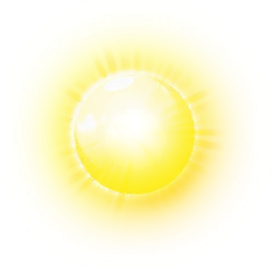 Sunny